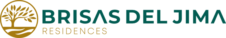 logo brisas